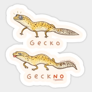 Gecko Geckno Sticker